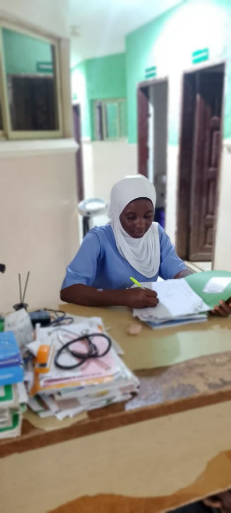 Nurse documenting clinical records and patient data